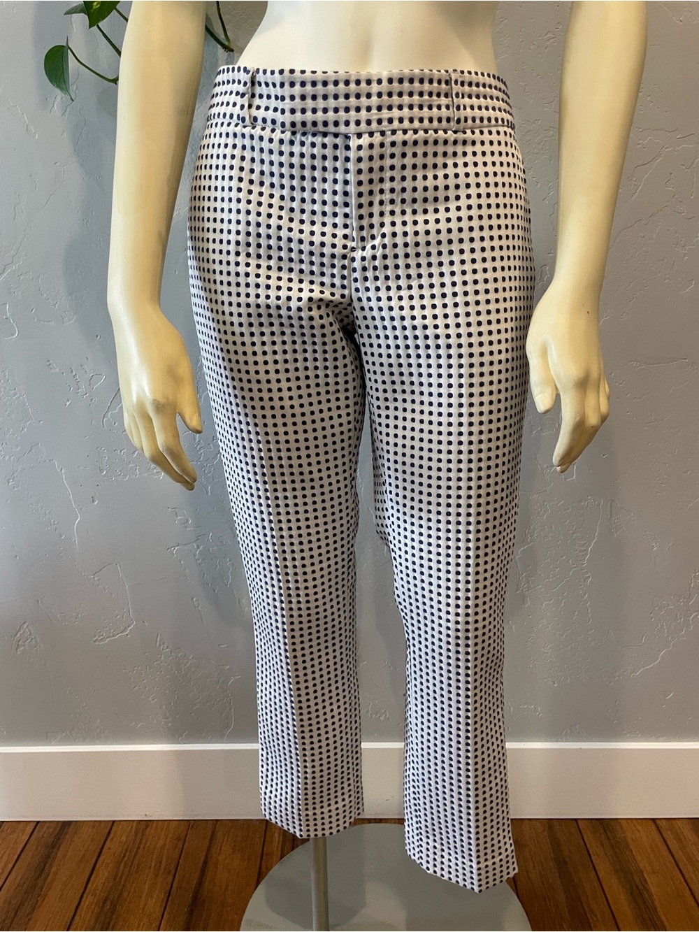 New BR Women's White & Navy Polka Dot Tailored Pants 0